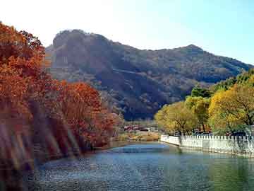 新澳天天开奖资料大全旅游团，神奇黄鳝养殖技术